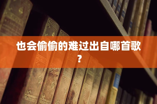 也会偷偷的难过出自哪首歌？