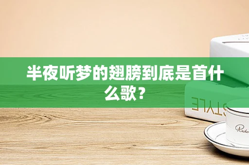 半夜听梦的翅膀到底是首什么歌？