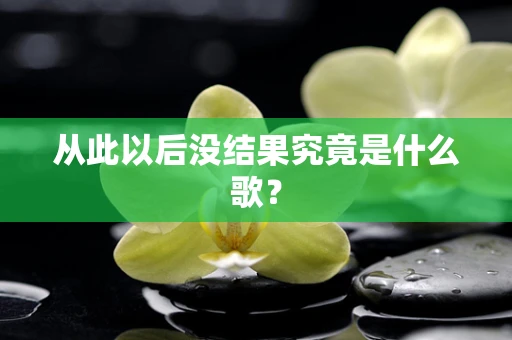 从此以后没结果究竟是什么歌？