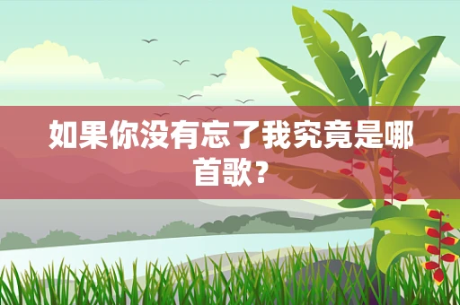 如果你没有忘了我究竟是哪首歌？
