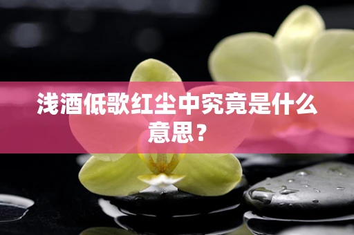 浅酒低歌红尘中究竟是什么意思？
