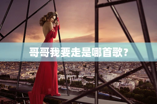 哥哥我要走是哪首歌？