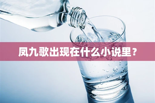 凤九歌出现在什么小说里？