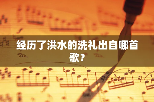 经历了洪水的洗礼出自哪首歌？