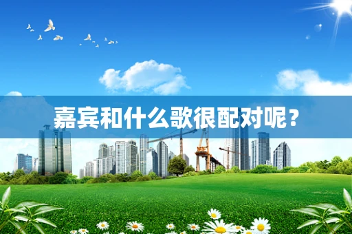 嘉宾和什么歌很配对呢？