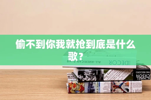 偷不到你我就抢到底是什么歌？