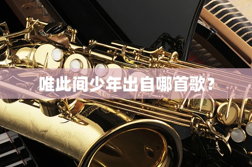 唯此间少年出自哪首歌？