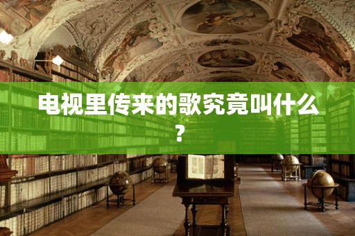 电视里传来的歌究竟叫什么？