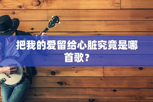 把我的爱留给心脏究竟是哪首歌？