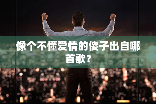 像个不懂爱情的傻子出自哪首歌？
