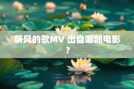 听风的歌MV 出自哪部电影？