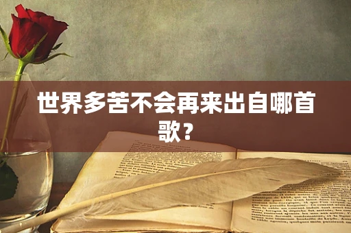 世界多苦不会再来出自哪首歌？
