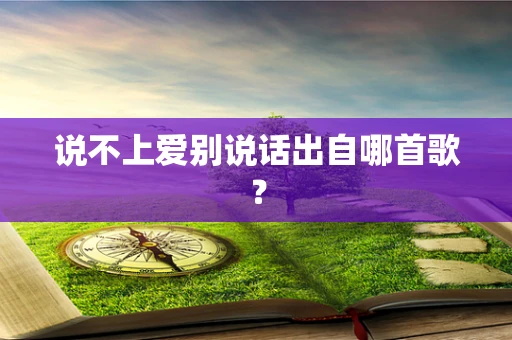 说不上爱别说话出自哪首歌？