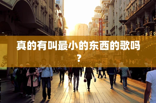 真的有叫最小的东西的歌吗？