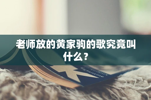 老师放的黄家驹的歌究竟叫什么？