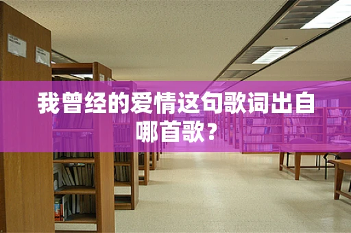我曾经的爱情这句歌词出自哪首歌？
