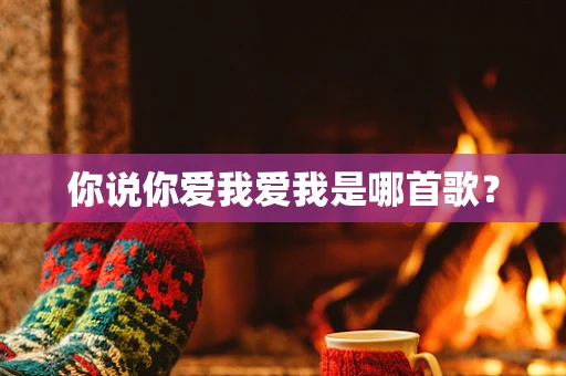你说你爱我爱我是哪首歌？