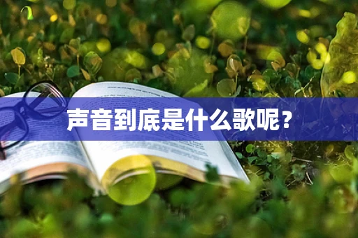声音到底是什么歌呢？