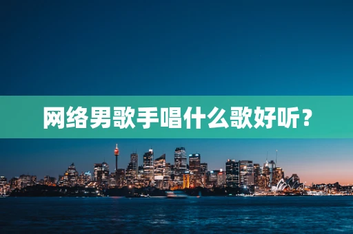网络男歌手唱什么歌好听？