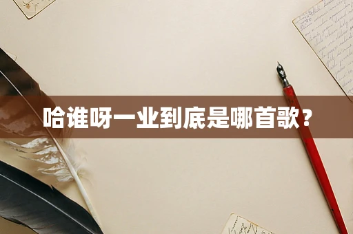 哈谁呀一业到底是哪首歌？
