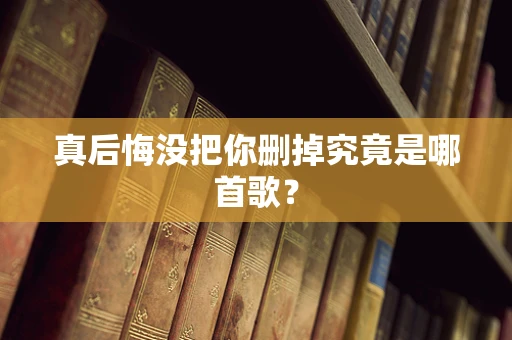 真后悔没把你删掉究竟是哪首歌？