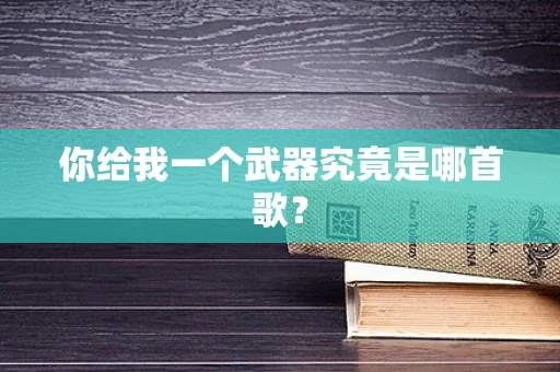 你给我一个武器究竟是哪首歌？