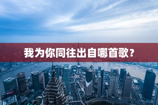 我为你同往出自哪首歌？