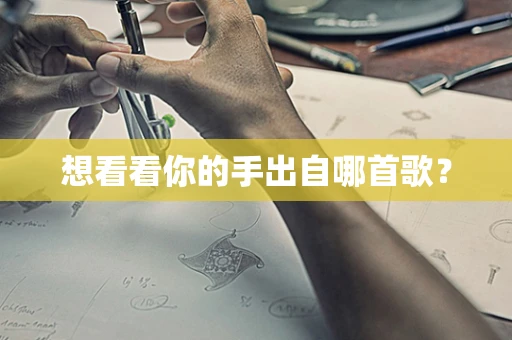 想看看你的手出自哪首歌？