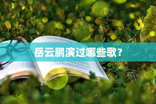 岳云鹏演过哪些歌？