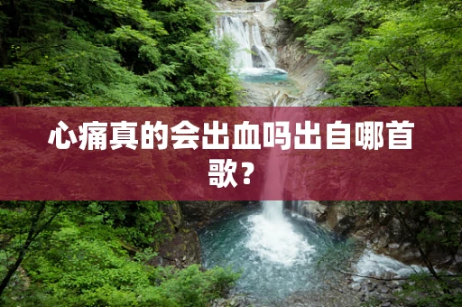 心痛真的会出血吗出自哪首歌？