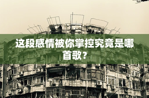 这段感情被你掌控究竟是哪首歌？