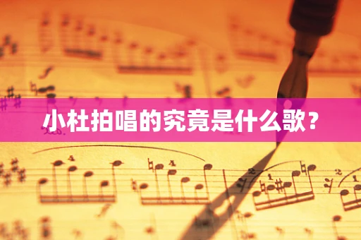 小杜拍唱的究竟是什么歌？