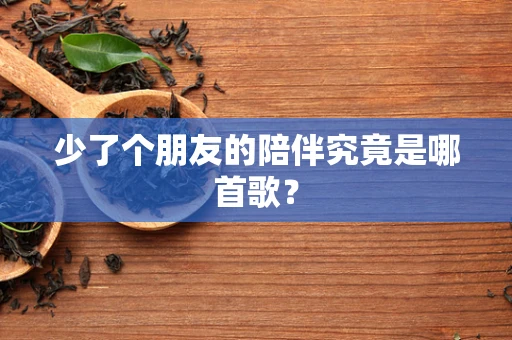 少了个朋友的陪伴究竟是哪首歌？