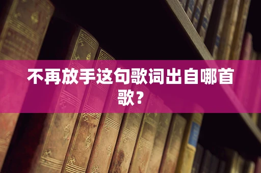 不再放手这句歌词出自哪首歌？