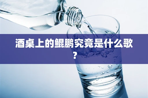 酒桌上的鲲鹏究竟是什么歌？