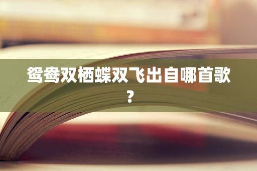 鸳鸯双栖蝶双飞出自哪首歌？