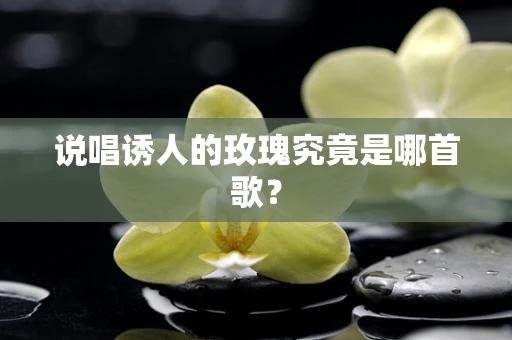 说唱诱人的玫瑰究竟是哪首歌？