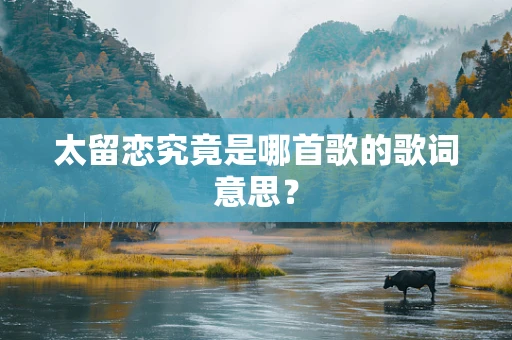 太留恋究竟是哪首歌的歌词意思？