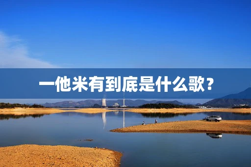 一他米有到底是什么歌？