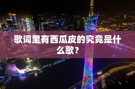 歌词里有西瓜皮的究竟是什么歌？