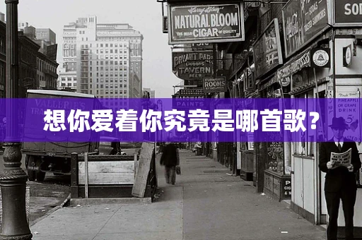 想你爱着你究竟是哪首歌？