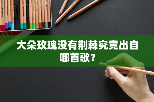 大朵玫瑰没有荆棘究竟出自哪首歌？
