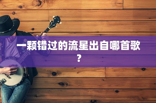 一颗错过的流星出自哪首歌？