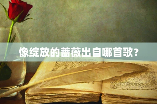 像绽放的蔷薇出自哪首歌？