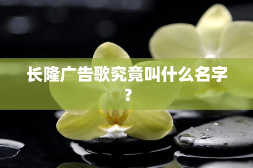 长隆广告歌究竟叫什么名字？