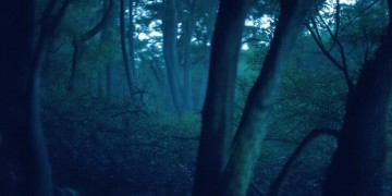 我在夜里吹着风究竟是哪首歌？
