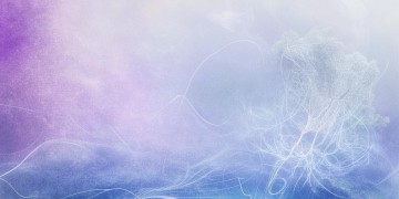 那首叫故事的歌究竟是什么？