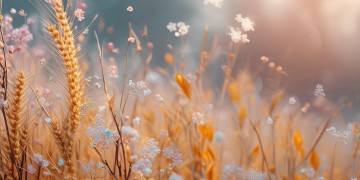 一生不春秋到底是哪首歌？