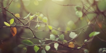 曾经相依相偎这句歌词出自哪首歌？