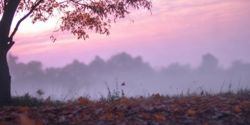 想你的时候心里苦究竟是哪首歌？